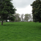 Payne Park Cambridge Tree Trust